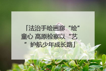 法治手绘画廊“绘”童心 高原检察以“艺”护航少年成长路