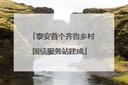 泰安首个齐鲁乡村国债服务站建成