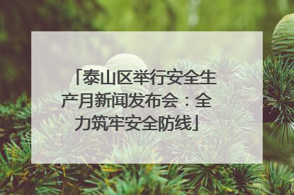 泰山区举行安全生产月新闻发布会：全力筑牢安全防线