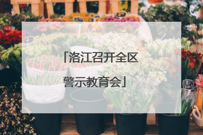 洛江召开全区警示教育会