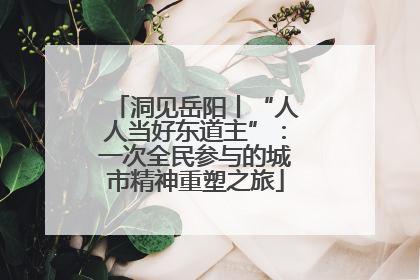 洞见岳阳丨“人人当好东道主”：一次全民参与的城市精神重塑之旅