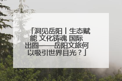 洞见岳阳丨生态赋能 文化铸魂 国际出圈——岳阳文旅何以吸引世界目光？