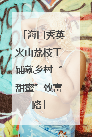 海口秀英火山荔枝王铺就乡村“甜蜜”致富路