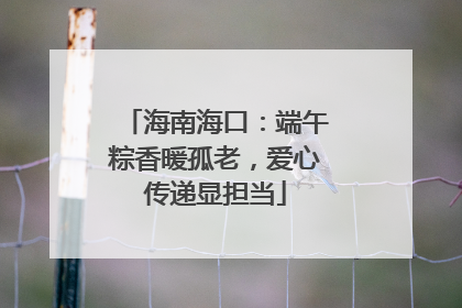 海南海口：端午粽香暖孤老，爱心传递显担当