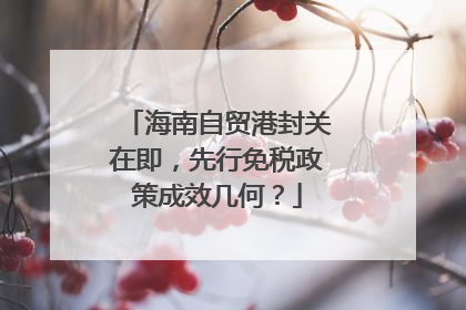 海南自贸港封关在即，先行免税政策成效几何？