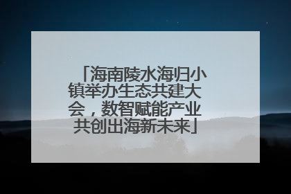 海南陵水海归小镇举办生态共建大会，数智赋能产业共创出海新未来