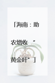 海南：助农增收 “黄金叶”