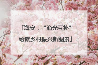 海安：“渔光互补” 绘就乡村振兴新图景