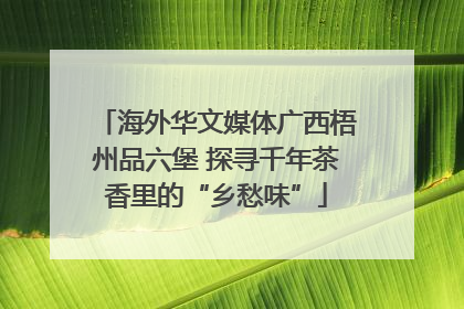 海外华文媒体广西梧州品六堡 探寻千年茶香里的“乡愁味”