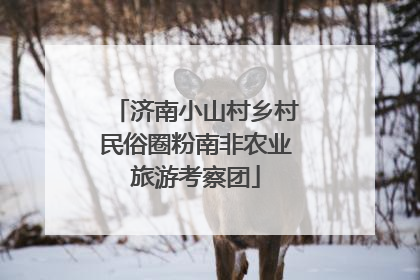 济南小山村乡村民俗圈粉南非农业旅游考察团