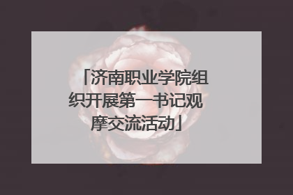 济南职业学院组织开展第一书记观摩交流活动