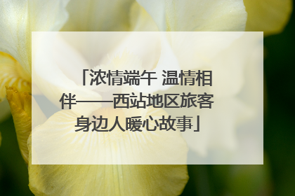 浓情端午 温情相伴——西站地区旅客身边人暖心故事