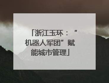 浙江玉环：“机器人军团”赋能城市管理