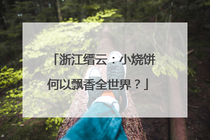 浙江缙云：小烧饼何以飘香全世界？