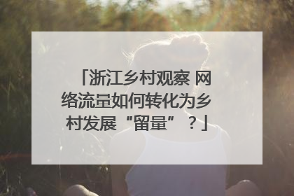 浙江乡村观察 网络流量如何转化为乡村发展“留量”？