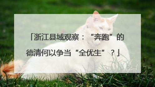 浙江县域观察：“奔跑”的德清何以争当“全优生”？