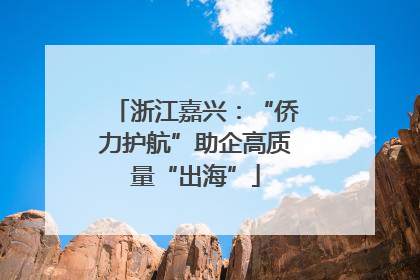 浙江嘉兴：“侨力护航”助企高质量“出海”