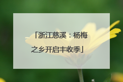 浙江慈溪：杨梅之乡开启丰收季