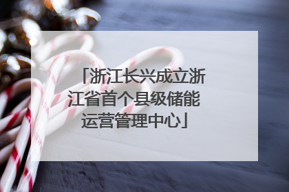浙江长兴成立浙江省首个县级储能运营管理中心