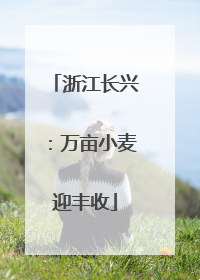 浙江长兴：万亩小麦迎丰收