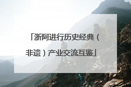 浙阿进行历史经典（非遗）产业交流互鉴
