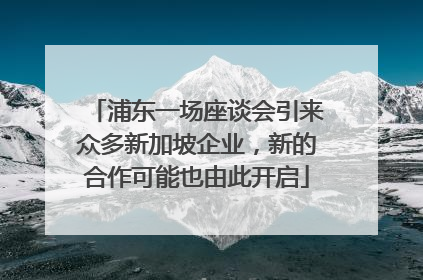 浦东一场座谈会引来众多新加坡企业，新的合作可能也由此开启
