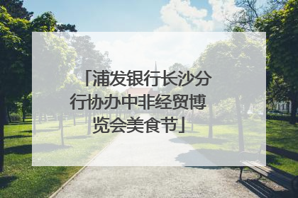 浦发银行长沙分行协办中非经贸博览会美食节