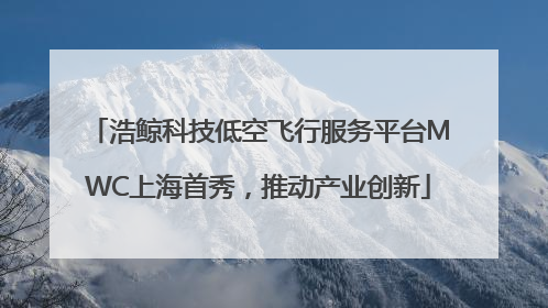 浩鲸科技低空飞行服务平台MWC上海首秀，推动产业创新