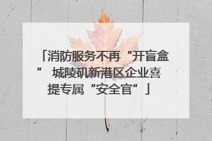 消防服务不再“开盲盒” 城陵矶新港区企业喜提专属“安全官”