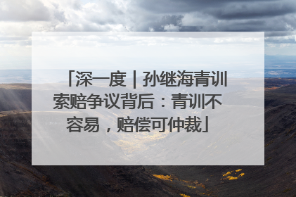 深一度｜孙继海青训索赔争议背后：青训不容易，赔偿可仲裁