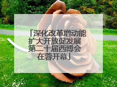 深化改革增动能 扩大开放促发展 第二十届西博会在蓉开幕