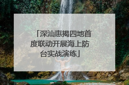深汕惠揭四地首度联动开展海上防台实战演练