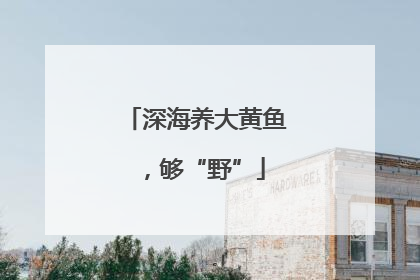 深海养大黄鱼，够“野”