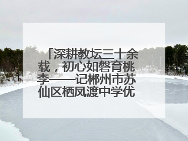 深耕教坛三十余载，初心如磐育桃李——记郴州市苏仙区栖凤渡中学优秀教师黄辉华