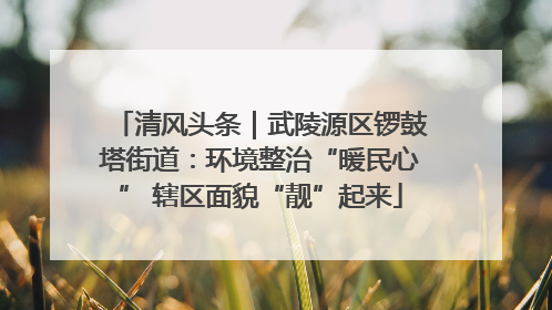 清风头条｜武陵源区锣鼓塔街道：环境整治“暖民心” 辖区面貌“靓”起来