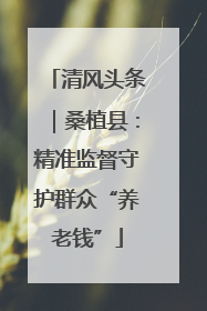 清风头条｜桑植县：精准监督守护群众“养老钱”