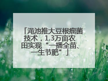 渑池推大豆根瘤菌技术，1.3万亩农田实现“一播全苗、一生节肥”