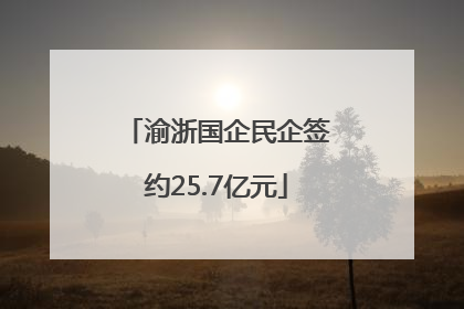 渝浙国企民企签约25.7亿元