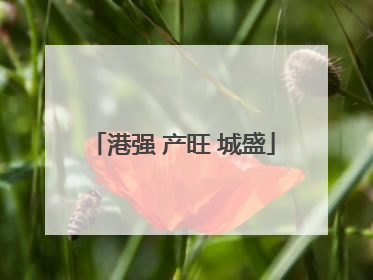 港强 产旺 城盛