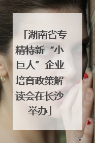 湖南省专精特新“小巨人”企业培育政策解读会在长沙举办