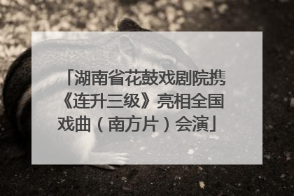 湖南省花鼓戏剧院携《连升三级》亮相全国戏曲（南方片）会演