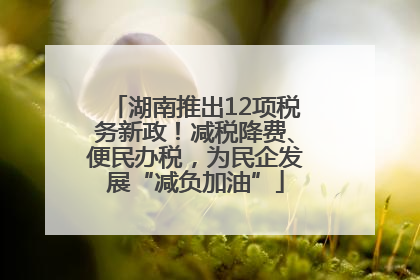 湖南推出12项税务新政！减税降费、便民办税，为民企发展“减负加油”