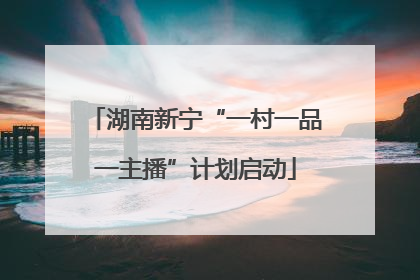 湖南新宁“一村一品一主播”计划启动