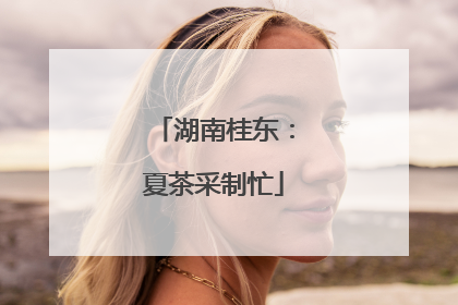 湖南桂东：夏茶采制忙