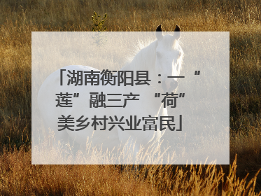 湖南衡阳县：一“莲”融三产 “荷”美乡村兴业富民