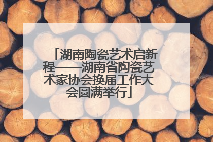 湖南陶瓷艺术启新程——湖南省陶瓷艺术家协会换届工作大会圆满举行