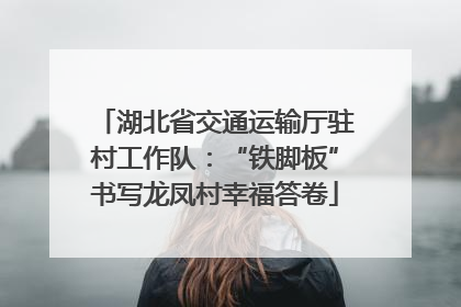 湖北省交通运输厅驻村工作队：“铁脚板”书写龙凤村幸福答卷