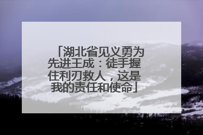 湖北省见义勇为先进王成：徒手握住利刃救人，这是我的责任和使命