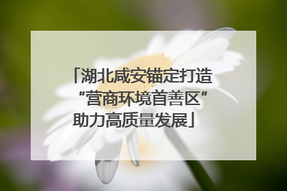 湖北咸安锚定打造“营商环境首善区”助力高质量发展