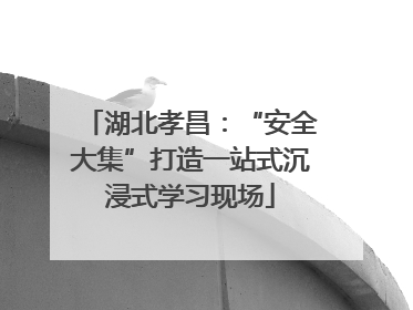 湖北孝昌：“安全大集”打造一站式沉浸式学习现场